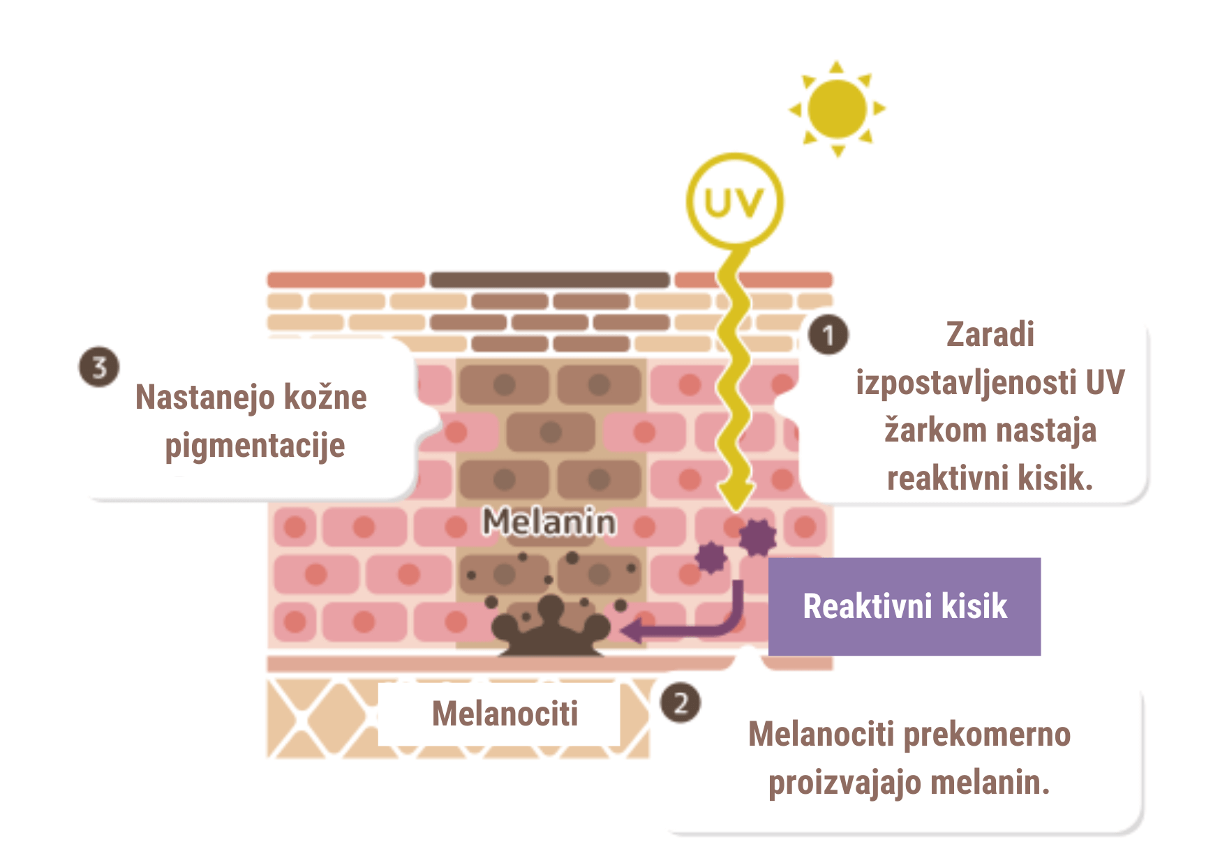 5 Razlogov Zakaj V Vaši Rutini Potrebujete Vitamin C Serum Gaia Naturelle